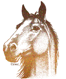 rwc_glitter_animals_horse.gif